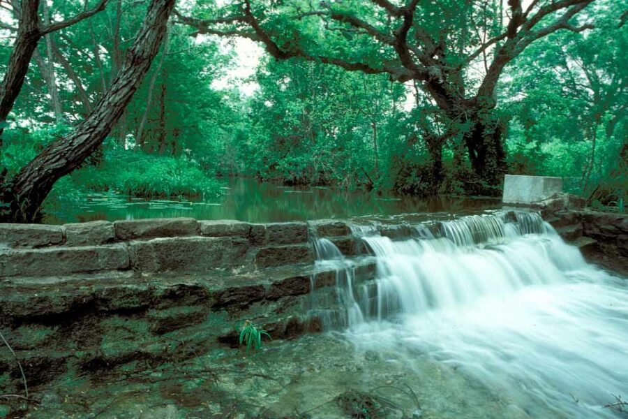 Lockhart State Park adds 188 acres through Nature Conservancy partnership, expanding to 453 total acres