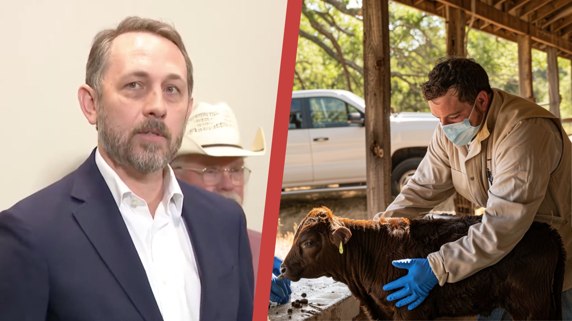 Travis and Caldwell Counties Declare Screwworm Disasters Before Local Detections