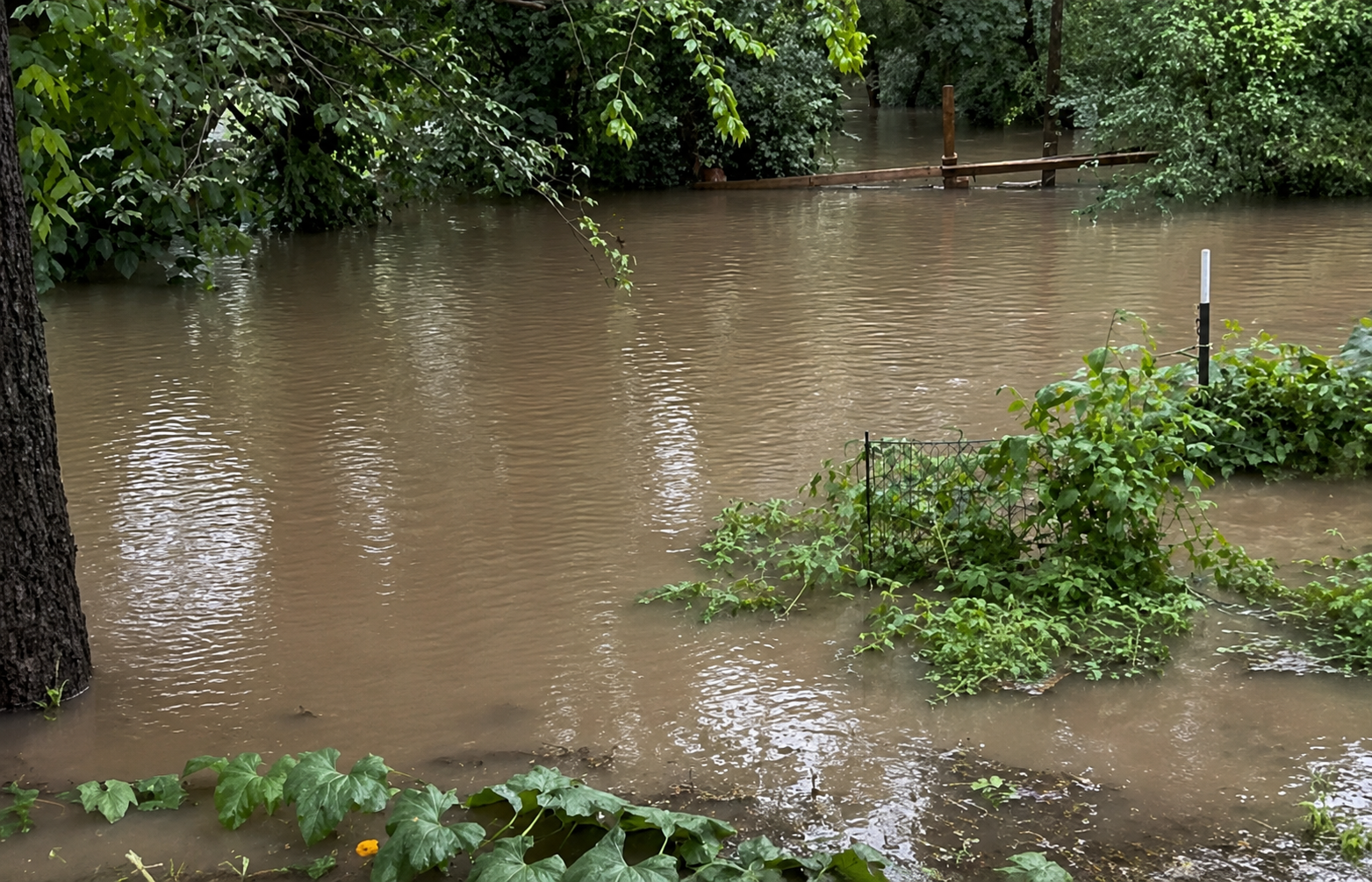 Texas Hill Country Camps Say Earlier, Site-Specific Flood Warnings Helped Keep Campers Safe a Year After Deadly Deluge