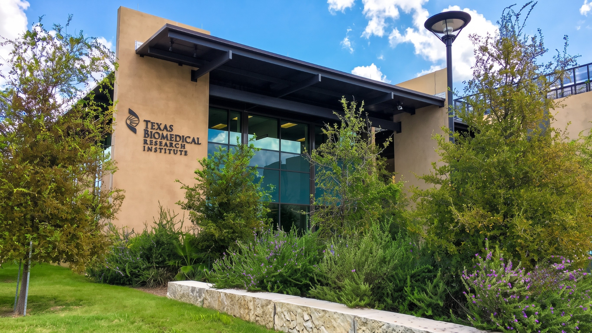 Texas Biomed Partners with British Biotech Firm as US Screwworm Tally Reaches 32