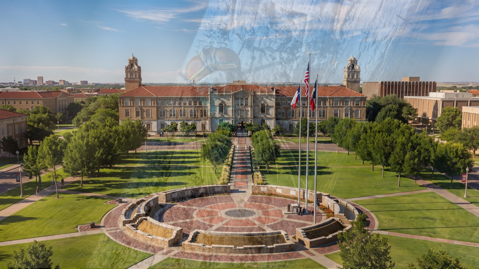 Federal Screwworm Research Dollars Reach Six Texas Universities as U.S. Case Count Holds