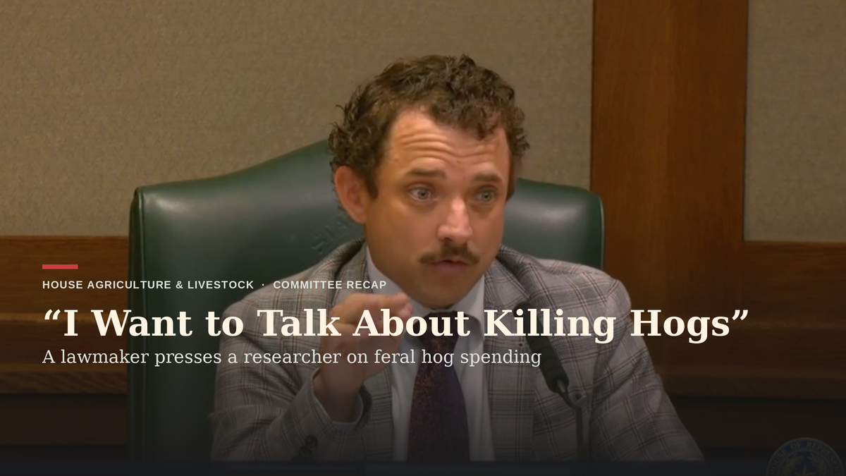 Screwworm Response Sets Up $29.4M Budget Ask as Lawmakers Question Feral Hog Spending